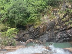 -广州白江湖森林公园