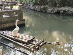 -兰亭风景区