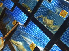 -徽三说·土徽菜·中国徽菜连锁品牌(一中店)