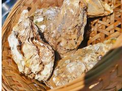 -蚝堡海鲜·威海菜·海肠捞饭·烧烤·亚洲吃蚝公司(幸福门店)