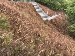 -白石龙音乐公园