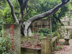 -雨花胜境