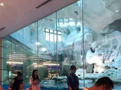 -帝企鹅自助餐厅•儿童岛•真企鹅(长隆企鹅酒店)