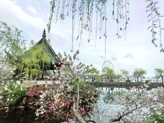 -无锡蠡湖国家湿地公园-蠡园