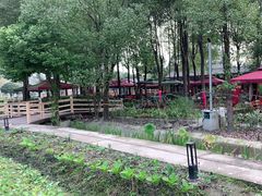 -洪湖家庭农场·团建·露营·会议