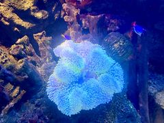 -沈阳海洋探索中心