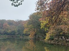 -灵谷景区