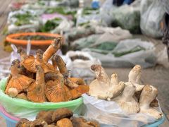 -蔼若春.传承三十年云南菜(金碧公园店)