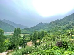 -黑河国家森林公园