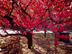 iphone_upload_pic-南馆公园