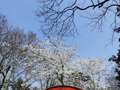 -西湖天地