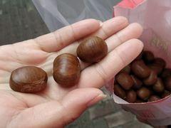 -金栗王(清扬路店)