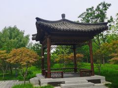 -莲花池公园