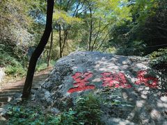 -王顺山国家森林公园
