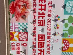 -太阳宫公园