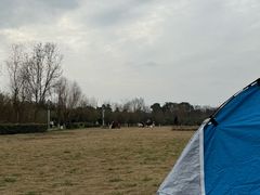 -白鹭湾湿地公园