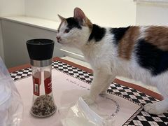 -大象厨房(重庆道店)