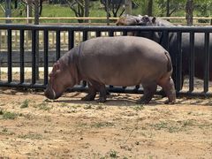 -鄂尔多斯野生动物园