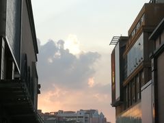 -皇冠幸福里动物奶油生日蛋糕(万达店)