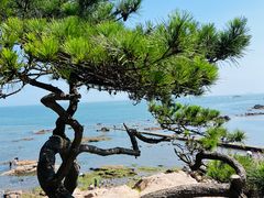 -八大关景区