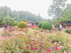 -郑州植物园