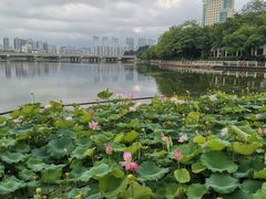 -南宁南湖公园