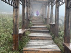 -白草畔自然风景区