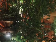 -同仁四季椰子鸡(无锡滨湖万象汇店)