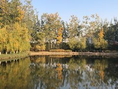 -春晖园度假酒店温泉