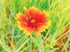 -敕勒川草原文化旅游区