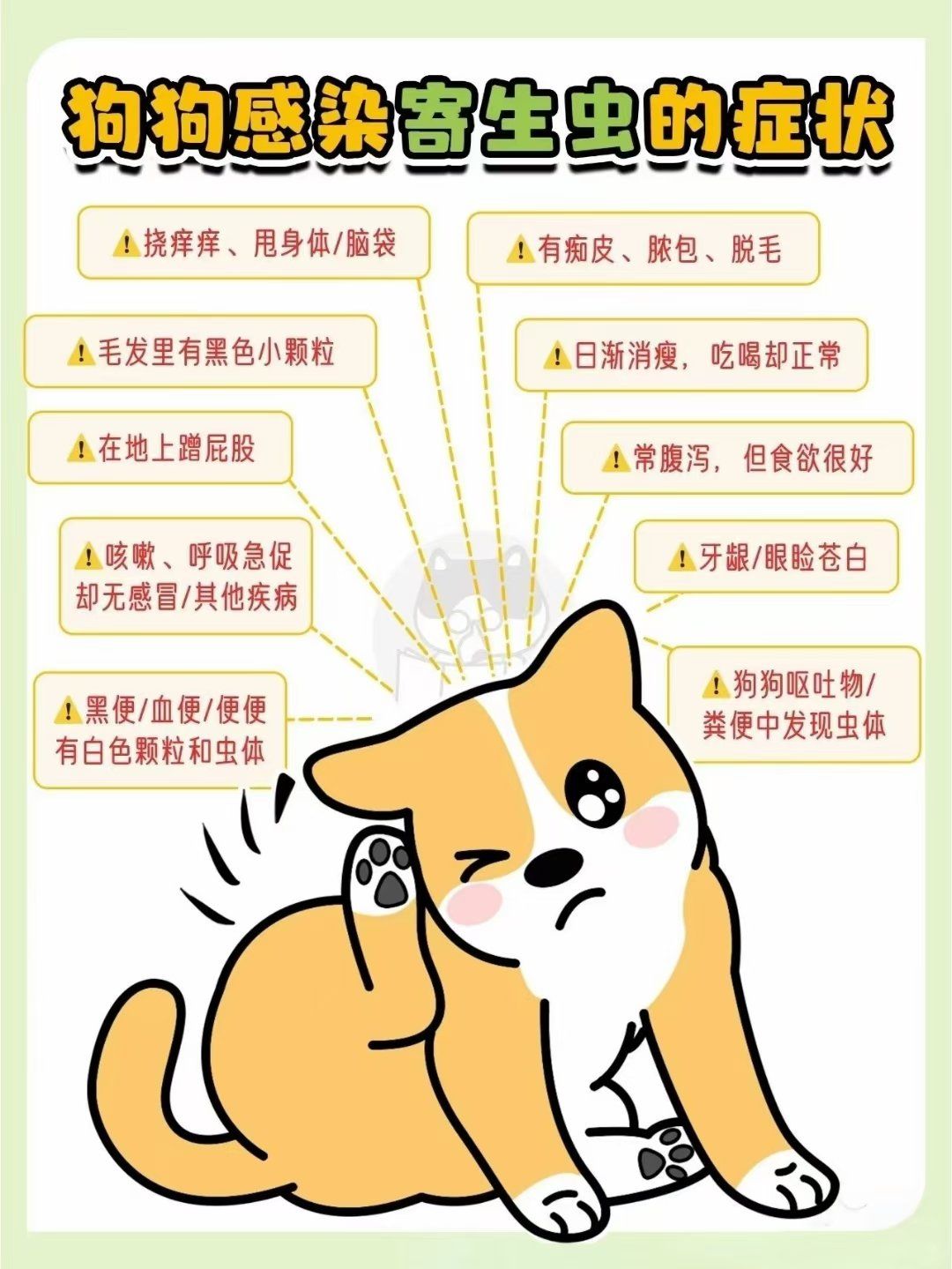 14 种狗狗常见寄生虫图鉴!12 种人宠