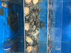 -宾朋海鲜特色美食餐厅·纯手工鲅鱼水饺(兴海路店)