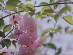 -江南茗茶城