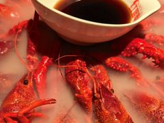 -红盔甲·小龙虾(天钥桥店)