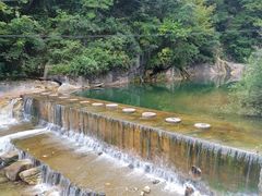-后柳水乡