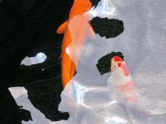 -长春观