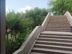 -乌镇景区