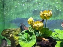 -常州海昌海洋探索馆