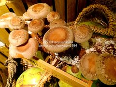 -大头椰·椰子鸡火锅(南宁万象城店)