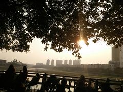 -平安桥张氏肥肠粉