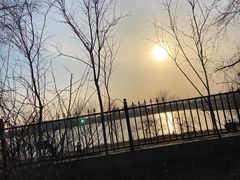 -绿堤公园