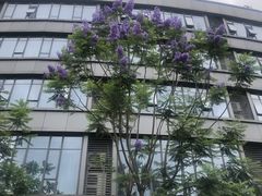 -福州大学(旗山校区)