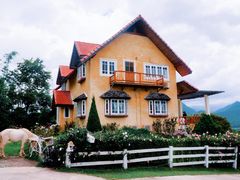 -黄色小屋