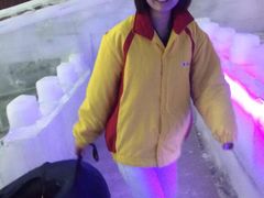 阿尔卑斯冰雪世界滑冰场-世界之窗阿尔卑斯冰雪世界
