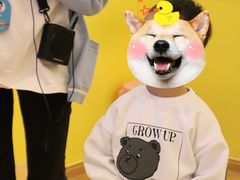 -艺年级儿童语言艺术中心(冉家坝爱融荟城店)