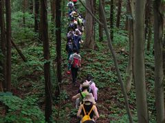 -素山寺森林公园