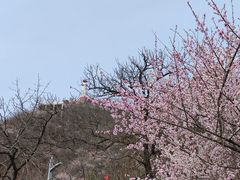 -狼牙山风景区