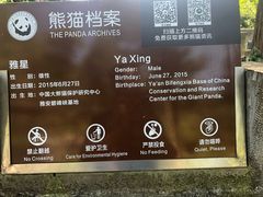 -都江堰中华大熊猫苑