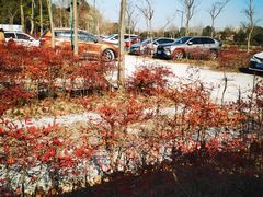 -嘉北郊野公园
