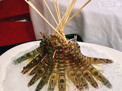 斑节虾-行家海鲜火锅酒家(静安寺店)
